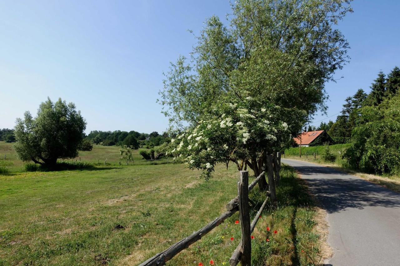Ferienwohnung Mit Terrasse Gustow  Екстер'єр фото